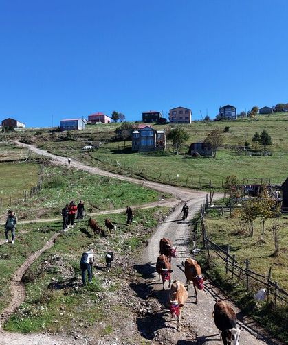 Trabzon Yaylalarında Köylere Dönüş Başladı
