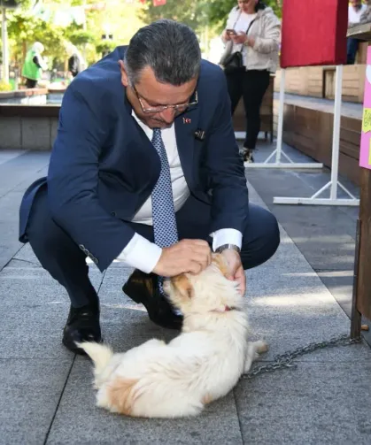 Başkan Genç’ten Hayvanları Koruma Günü Mesajı