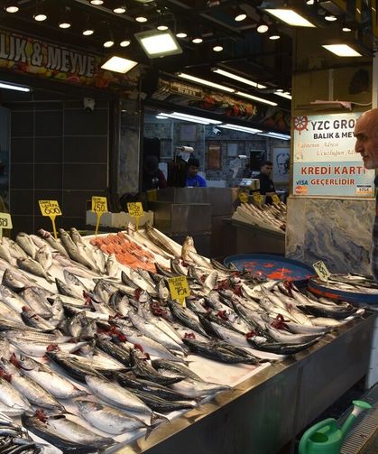 Trabzon’da Palamut Bolluğu: 3 Tanesi 100 Lira