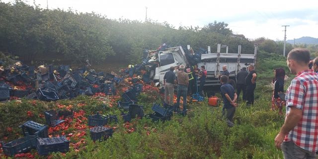 Düzce'de elektrik direğine çarpan kamyonetin sürücüsü ağır yaralandı