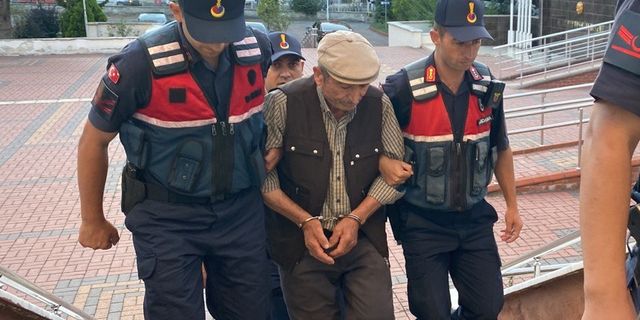 GÜNCELLEME - Zonguldak'ta başı kopmuş cesedi bulunan kişinin kardeşi tutuklandı