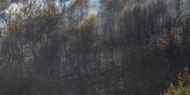 MERSİN - Akdeniz ilçesindeki orman yangını kontrol altına alındı