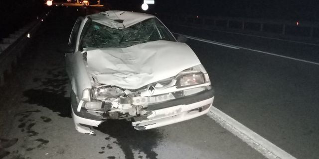Sinop'ta otomobilin ineklere çarpması sonucu bir kişi yaralandı