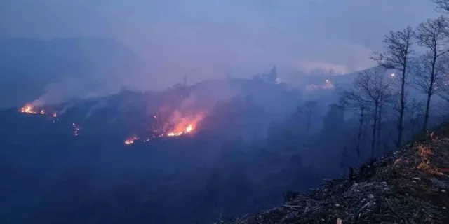 Trabzon'da ormanlık alanda çıkan yangın yağmur etkisiyle söndürüldü
