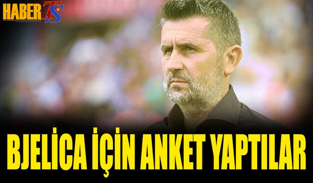 Bjelica İçin Anket Yaptılar