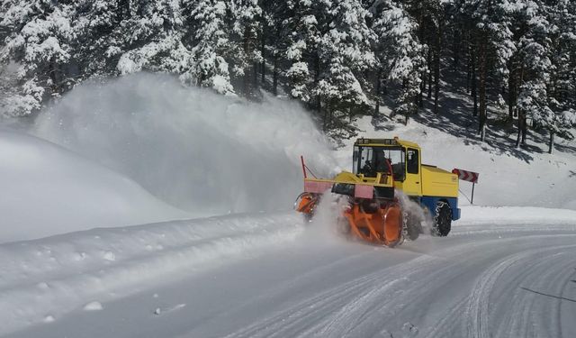Kar nedeniyle Doğu Karadeniz'de ulaşıma kapatılan yollar!