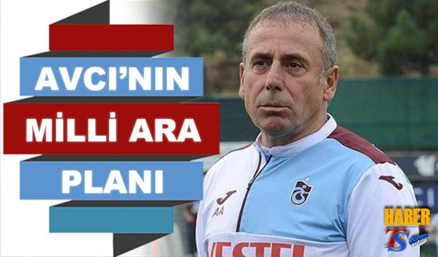 Abdullah Avcı'nın Milli Ara Planı