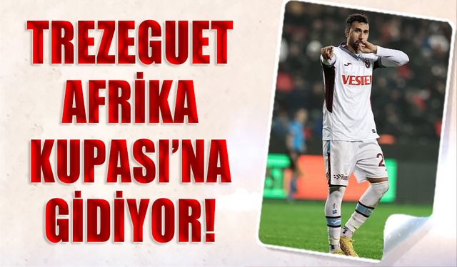 Trezeguet Afrika Kupası'ndan Davet Aldı