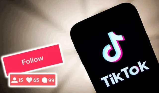 Tiktok Takipçi Hilesi Nasıl Yapılır?