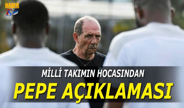 Milli Takımın Hocasından Pepe Açıklaması