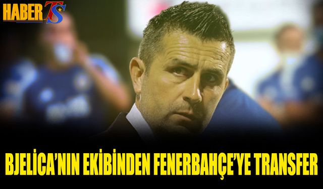 Bjelica'nın Ekibinden Fenerbahçe'ye Transfer