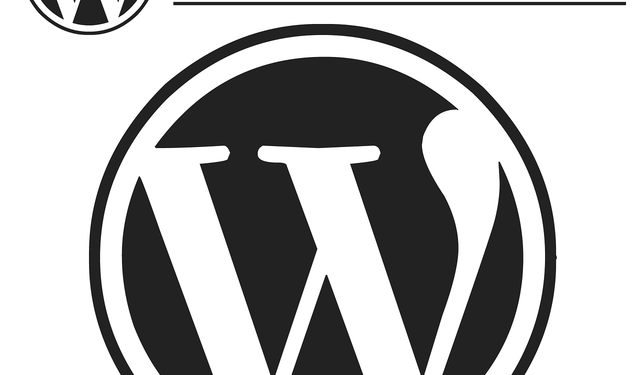 Profesyonel WordPress Çözümleri ile İşletmenizi Büyütün