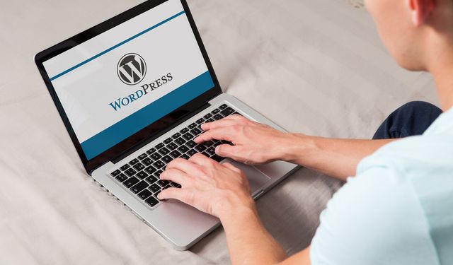 WordPress Özel Tema Tasarım Ajansı