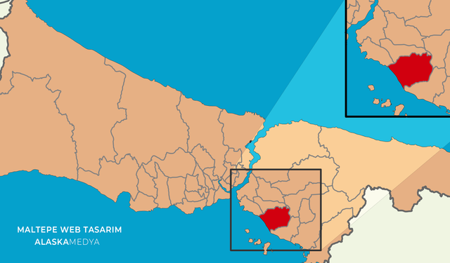 Maltepe Web Tasarımında Alaska Medya'nın Farkı