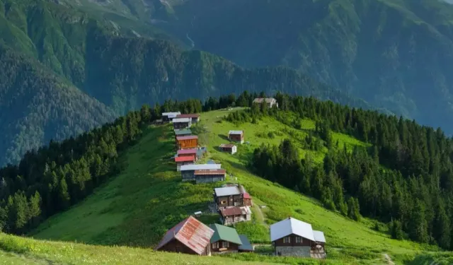 Karadeniz Yaylaları, Doğa ve Kültür Turları Yaz Turizminin Yıldızı Oldu