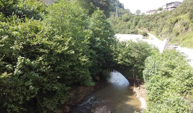 Tarihi Taş Köprü, yapılacak temizlik çalışmalarıyla yeniden gün yüzüne çıkarılacak