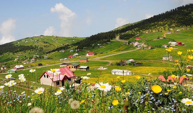 Trabzon Tonya İlçesi Hakkında Detaylı Bilgiler