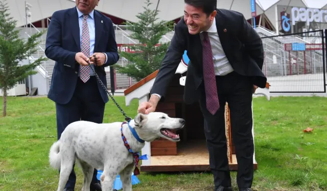 Trabzonspor O Köpeği Sahiplendi