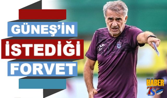 Şenol Güneş'in Transferini İstediği Forvet