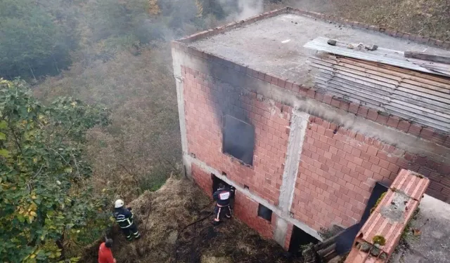 Trabzon Araklı’da Yangın: 3 Ev Küle Döndü!