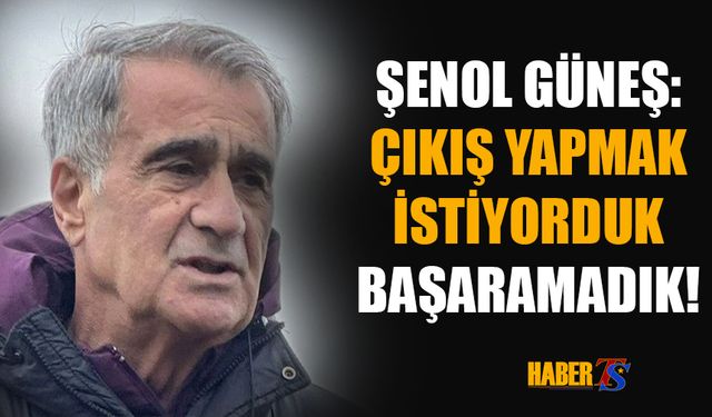 Şenol Güneş: Başaramadık