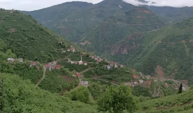 Yılların Tartışması Sona Erdi: Üçtaş Köyü Artık Giresun’a Bağlı