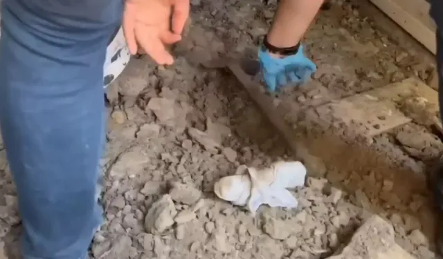 Sakarya'da Silahlı Saldırı Zanlısı 15 Gün Sonra Bungalov Evde Yakalandı