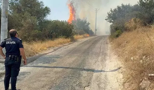Bodrum Yakaköy’de Makilik Alanda Yangın: 3 Hektar Zarar Gördü