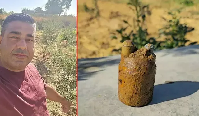 Zeytin Bahçesinde Kurtuluş Savaşı'ndan Kalma Top Mermisi Bulundu