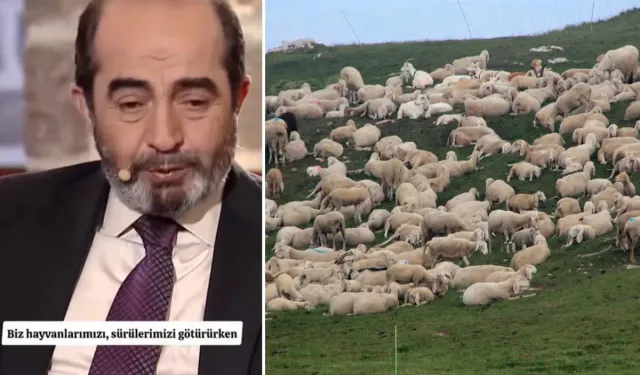 Göle’de Koyunların İşaret Ettiği Şehit Yüzbaşı