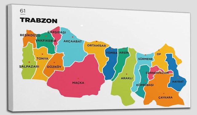 Trabzon İlçe Belediyelerinin 2026 Bütçesi 9 Milyarı Aştı