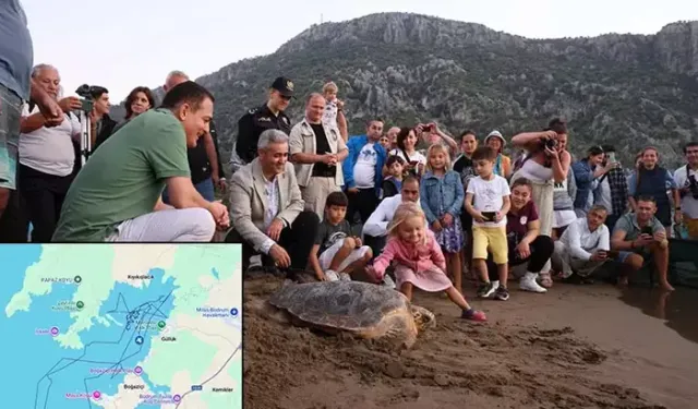 Muğla’da ‘Lansinoh’ Caretta 2 Bin Kilometre Yol Aldı