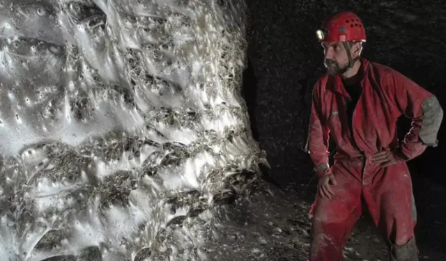 Dünyanın En Büyük Örümcek Ağı Arnavutluk’ta Keşfedildi