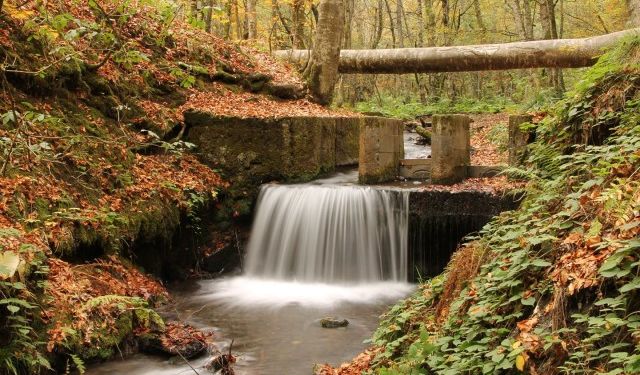 Bolu Avdan’da Sonbahar Renkleri Büyüledi