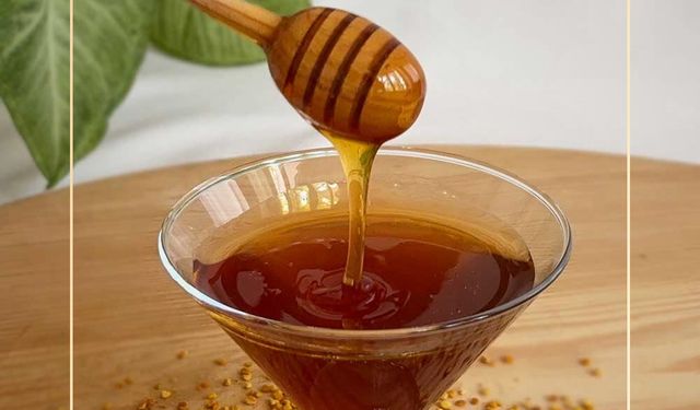 Silifke’de Keçiboynuzu Balı Hasadı Başladı