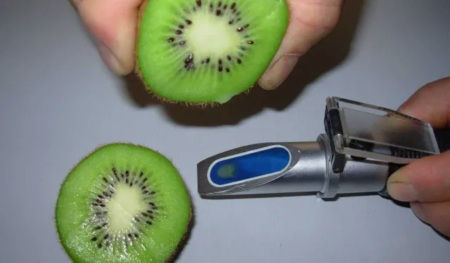 Trabzon'da Kivi Hasadı İçin Resmî Tarih Açıklandı