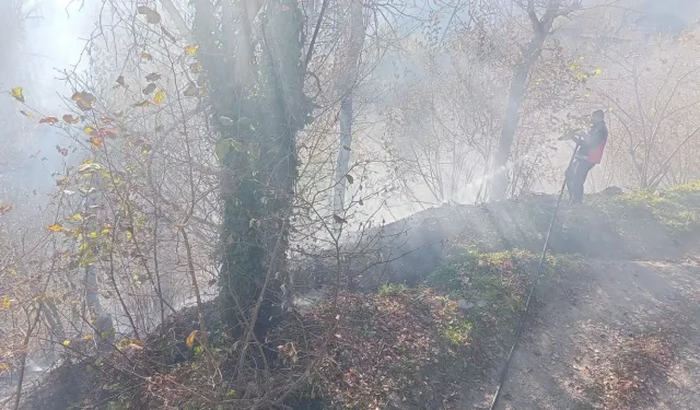 Hopa’da Ziraat Alanı Yandı, Alevler Ormana Sıçradı