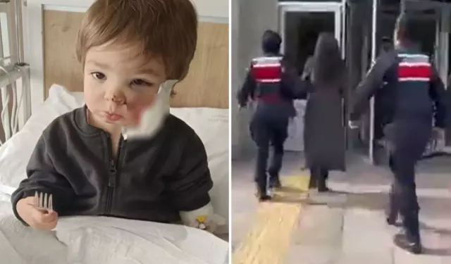 İki Kardeşi Yaralayan Pitbullun Sahibinden Pişkin Savunma