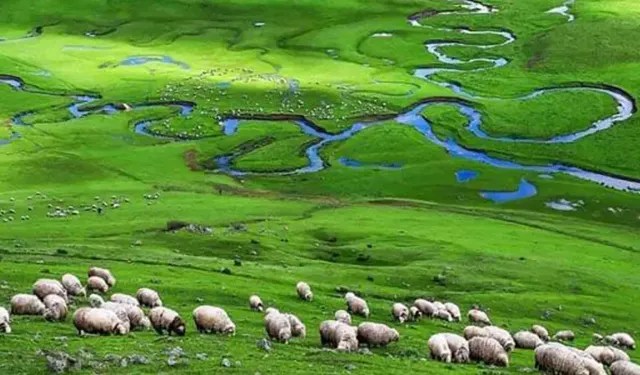 Perşembe Yaylası 11 Ayda 1,3 Milyon Ziyaretçi Ağırladı