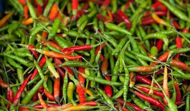 Uzmandan Uyarı: Acı Biber Fazlası Stresi Artırıyor
