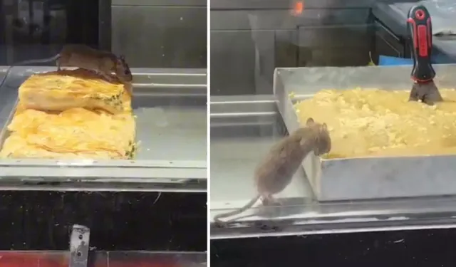 İzmir Buca’da Börekçide Fare Skandalı Tepki Çekti
