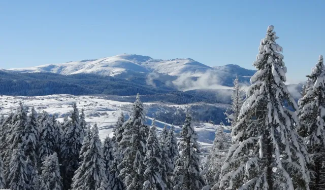 Çambaşı Yaylası Karla Beyaza Büründü