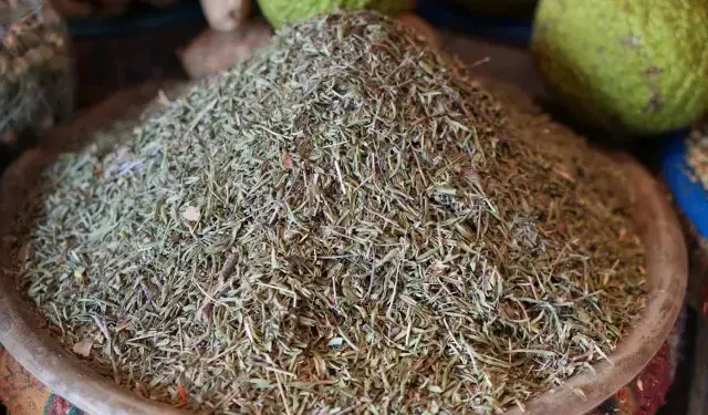 Bir Tutamı Yetiyor Hastalıklara Karşı Koruyor