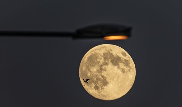 Trabzon’da Öğrenciler Teleskoplarla Dolunayı Gözlemledi