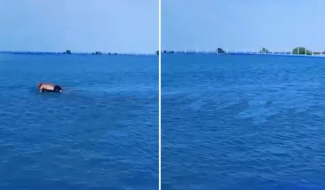 Köyde Tarlaya Yapılan Dev Havuz Sosyal Medyayı Salladı