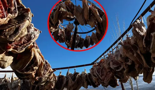 Siparişlere Yetişemiyorlar Kars’ta Gurbetçilere Hazırlandı