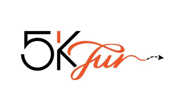 Karadeniz’i Konforlu ve Güvenli Şekilde Keşfetmenin Adresi 5K Tur