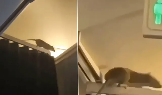 Fare Alarmı: 250 Yolcu Karayipler'de Mahsur Kaldı