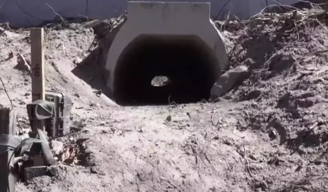 Kurbağalar İçin Yapılan Aşk Tünelinde Çalışmalar Bitti