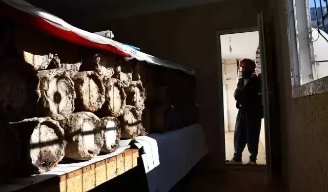 Evinin En Güzel Odasını Arılara Ayırdı, Balı Rekor Fiyatta